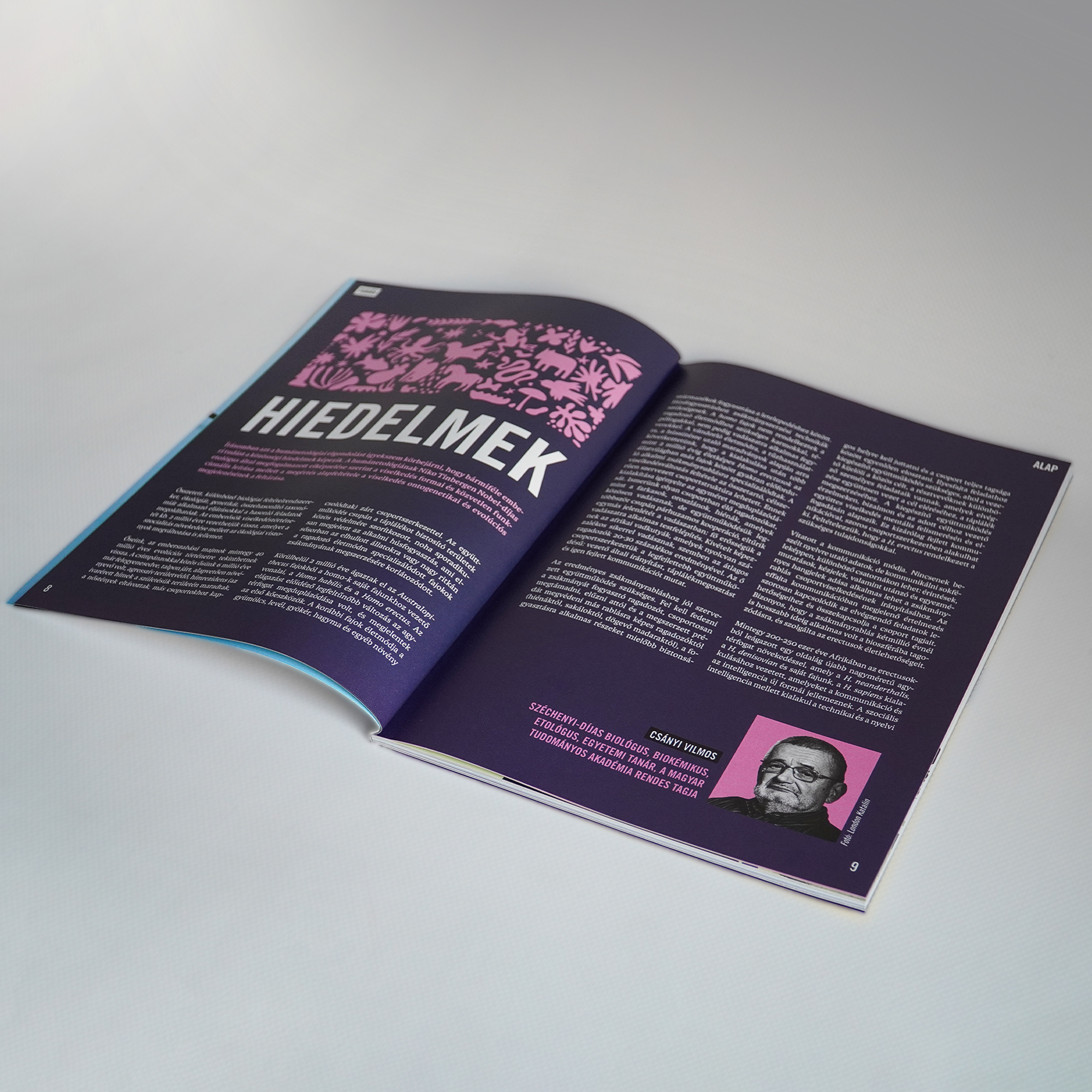 ALAP.csomag - Image 4